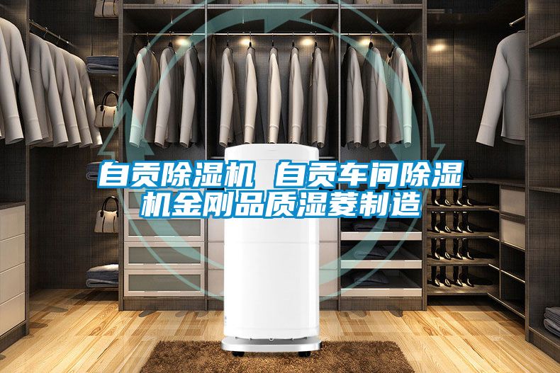 自貢除濕機 自貢車間除濕機金剛品質濕菱制造