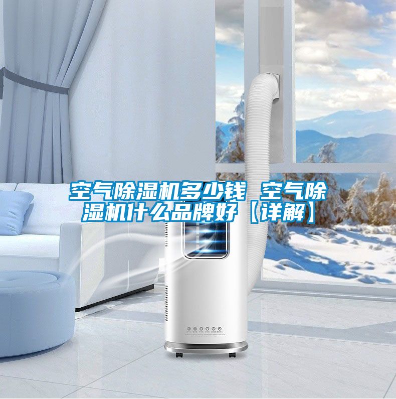 空氣除濕機(jī)多少錢 空氣除濕機(jī)什么品牌好【詳解】