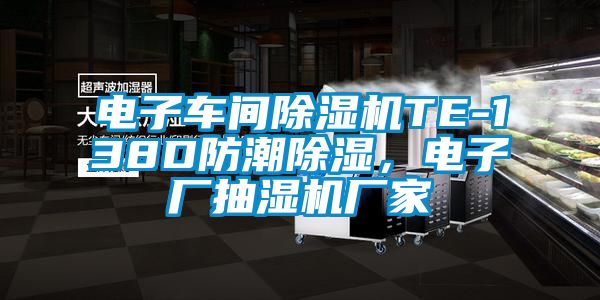 電子車間除濕機TE-138D防潮除濕，電子廠抽濕機廠家