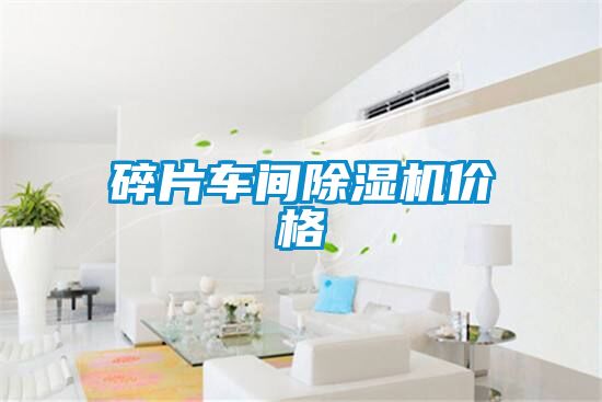 碎片車間除濕機(jī)價(jià)格