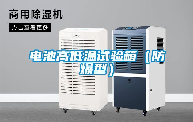 電池高低溫試驗(yàn)箱（防爆型）