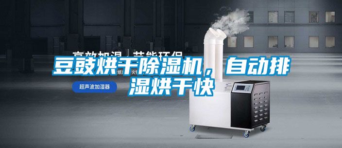 豆豉烘干除濕機(jī)，自動(dòng)排濕烘干快