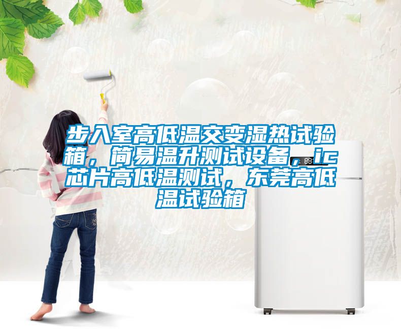 步入室高低溫交變濕熱試驗(yàn)箱，簡(jiǎn)易溫升測(cè)試設(shè)備，ic芯片高低溫測(cè)試，東莞高低溫試驗(yàn)箱