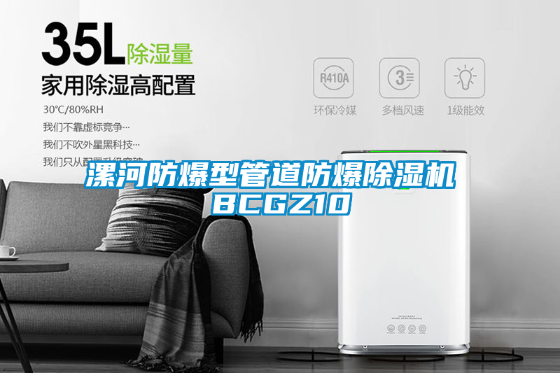 漯河防爆型管道防爆除濕機 BCGZ10