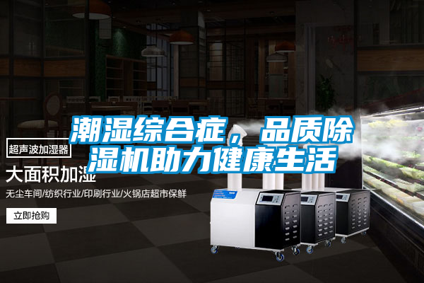 潮濕綜合癥，品質(zhì)除濕機助力健康生活