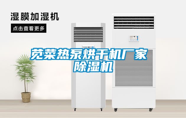 莧菜熱泵烘干機(jī)廠家 除濕機(jī)