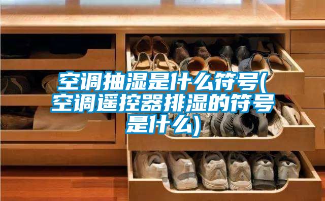 空調抽濕是什么符號(空調遙控器排濕的符號是什么)