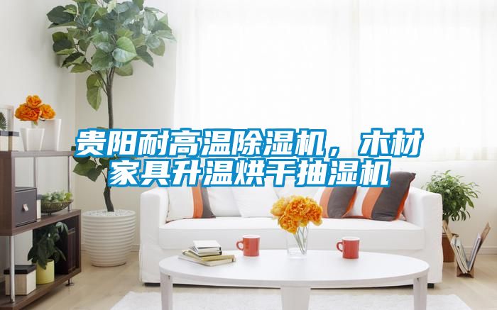 貴陽(yáng)耐高溫除濕機(jī)，木材家具升溫烘干抽濕機(jī)
