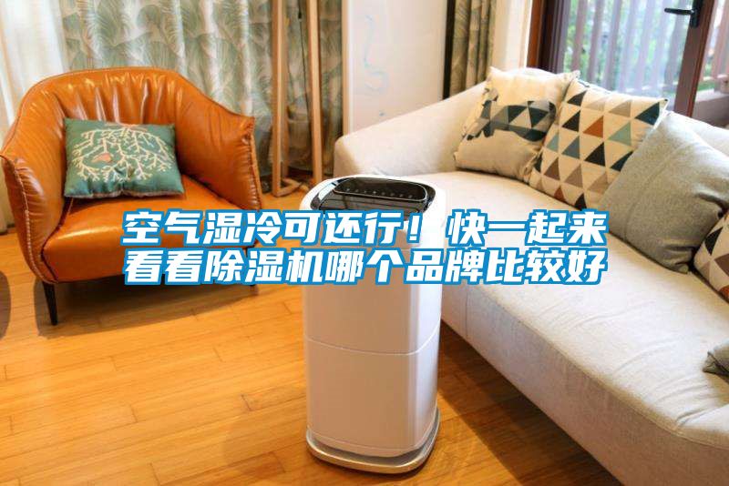 空氣濕冷可還行！快一起來看看除濕機哪個品牌比較好