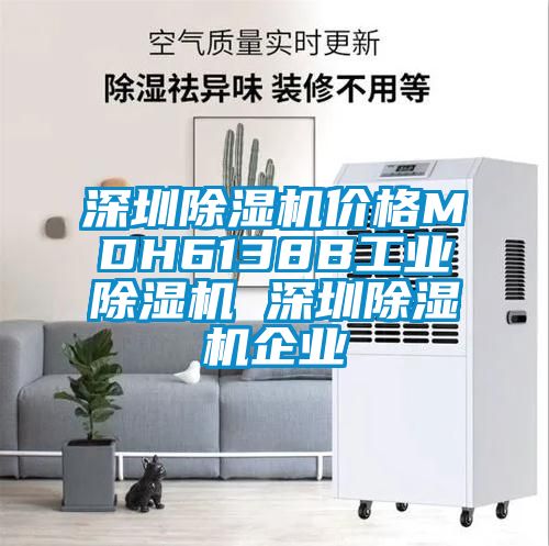 深圳除濕機價格MDH6138B工業除濕機 深圳除濕機企業