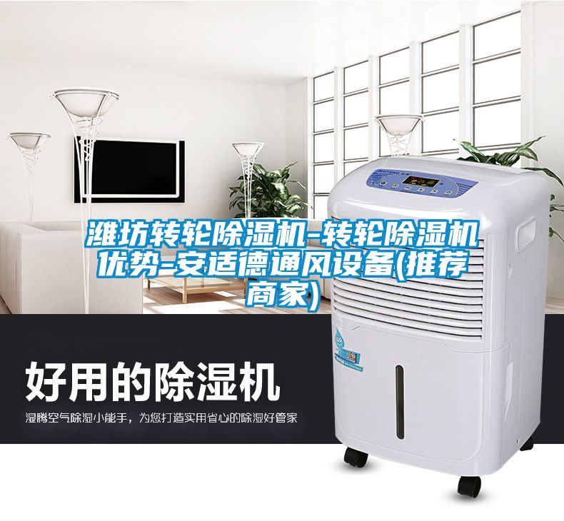 濰坊轉(zhuǎn)輪除濕機-轉(zhuǎn)輪除濕機優(yōu)勢-安適德通風(fēng)設(shè)備(推薦商家)