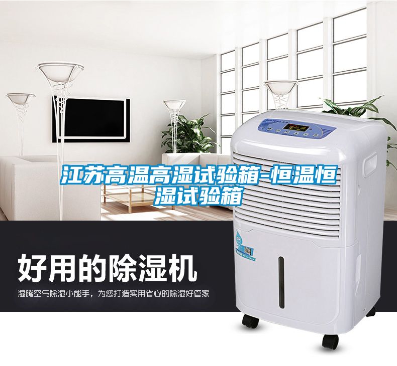 江蘇高溫高濕試驗(yàn)箱-恒溫恒濕試驗(yàn)箱