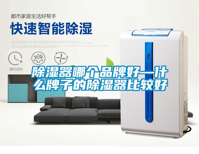 除濕器哪個品牌好—什么牌子的除濕器比較好
