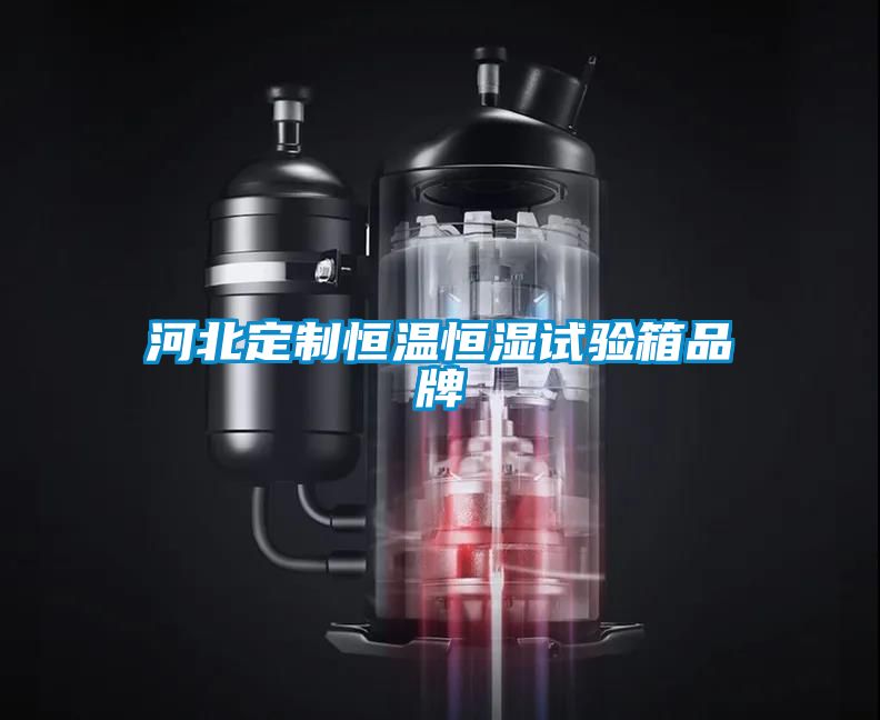 河北定制恒溫恒濕試驗箱品牌