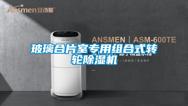 玻璃合片室專用組合式轉輪除濕機