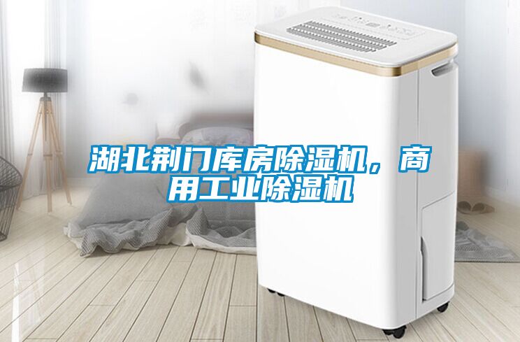 湖北荊門庫房除濕機，商用工業(yè)除濕機