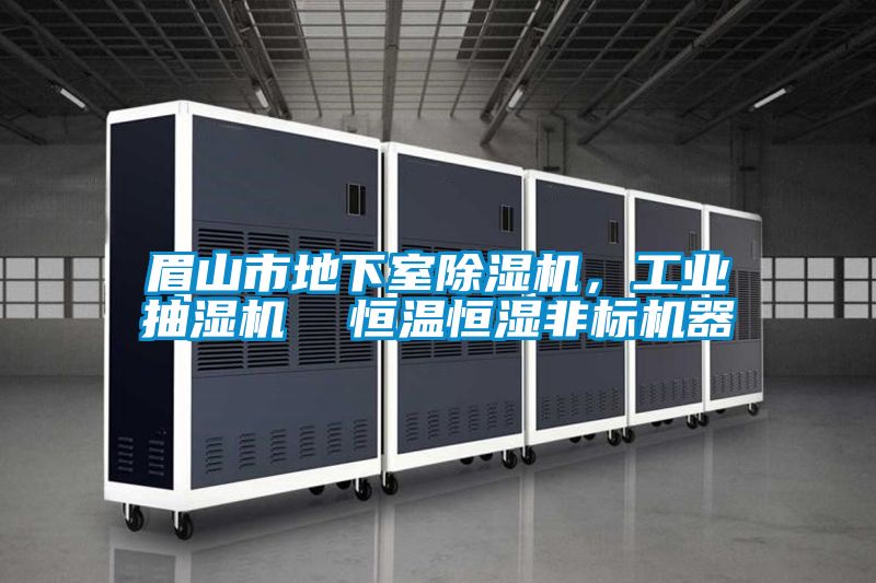 眉山市地下室除濕機(jī)，工業(yè)抽濕機(jī)  恒溫恒濕非標(biāo)機(jī)器
