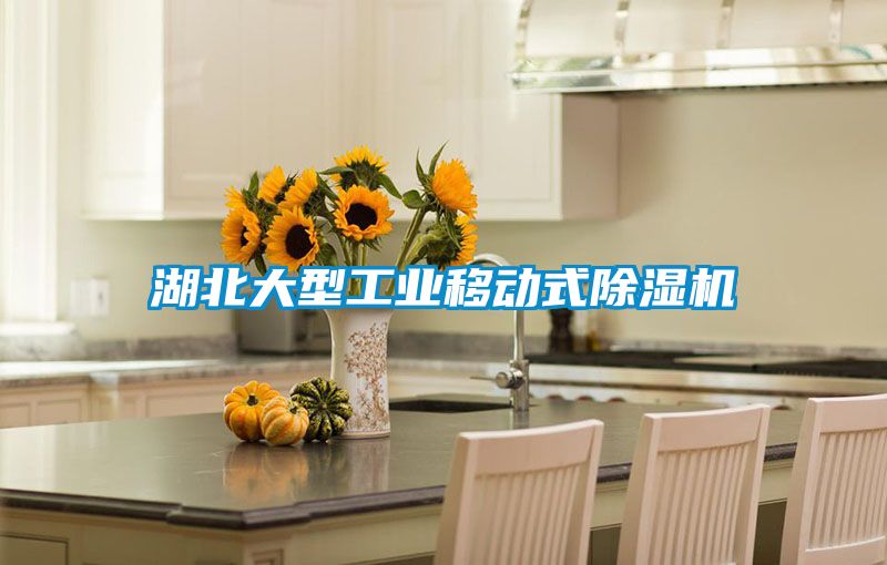 湖北大型工業移動式除濕機