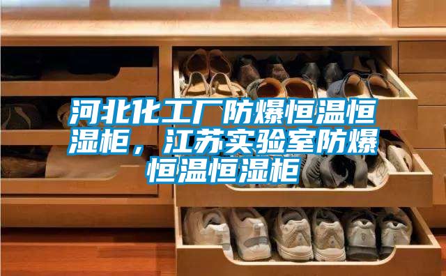 河北化工廠防爆恒溫恒濕柜，江蘇實驗室防爆恒溫恒濕柜