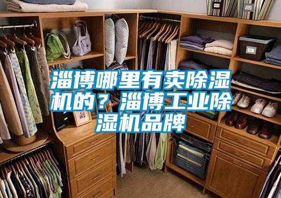 淄博哪里有賣除濕機的？淄博工業除濕機品牌