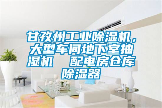 甘孜州工業(yè)除濕機，大型車間地下室抽濕機  配電房倉庫除濕器