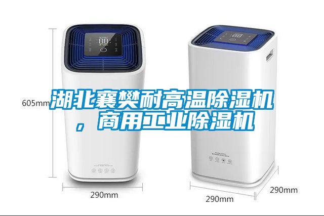 湖北襄樊耐高溫除濕機，商用工業(yè)除濕機