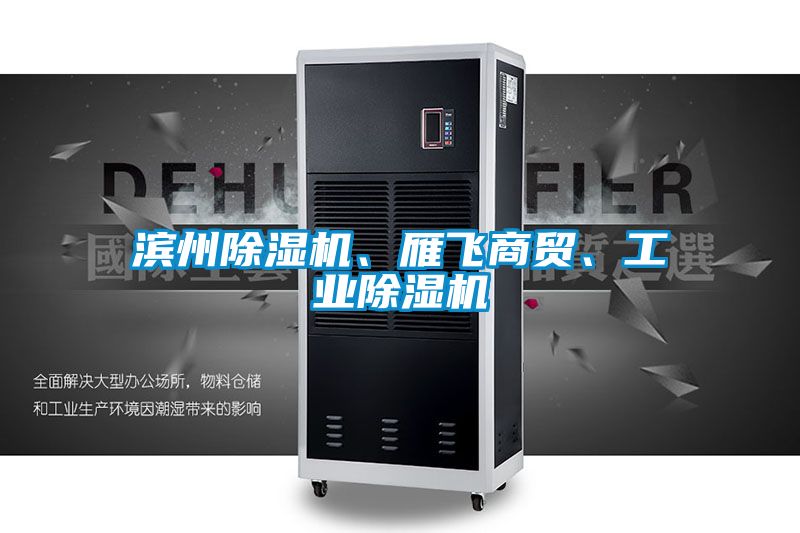 濱州除濕機、雁飛商貿、工業除濕機