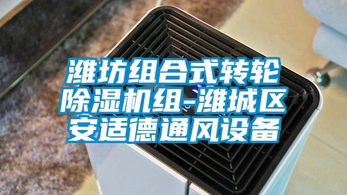濰坊組合式轉(zhuǎn)輪除濕機(jī)組-濰城區(qū)安適德通風(fēng)設(shè)備