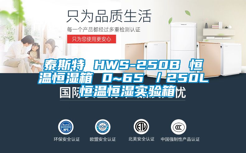 泰斯特 HWS-250B 恒溫恒濕箱 0~65℃／250L 恒溫恒濕實(shí)驗(yàn)箱