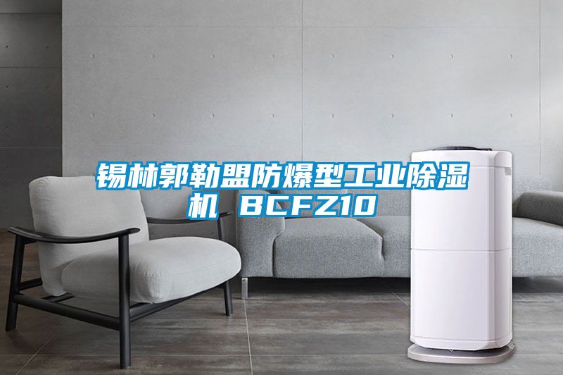 錫林郭勒盟防爆型工業(yè)除濕機(jī) BCFZ10