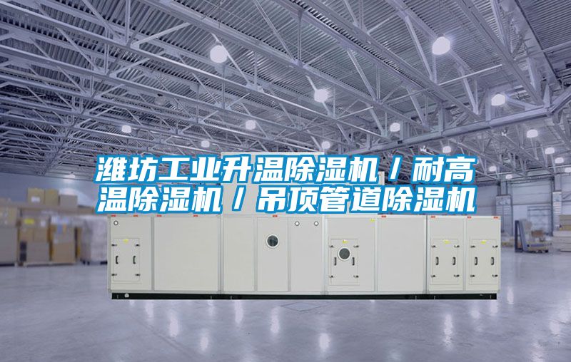 濰坊工業升溫除濕機／耐高溫除濕機／吊頂管道除濕機