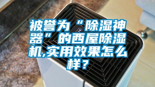 被譽為“除濕神器”的西屋除濕機,實用效果怎么樣？