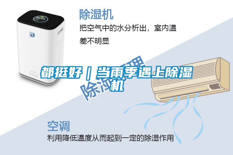 都挺好｜當雨季遇上除濕機