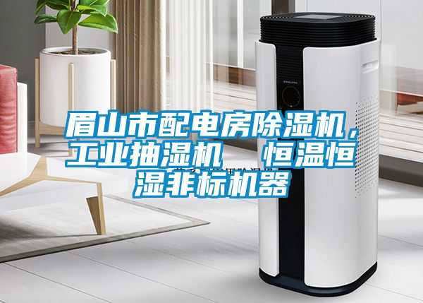 眉山市配電房除濕機，工業抽濕機  恒溫恒濕非標機器