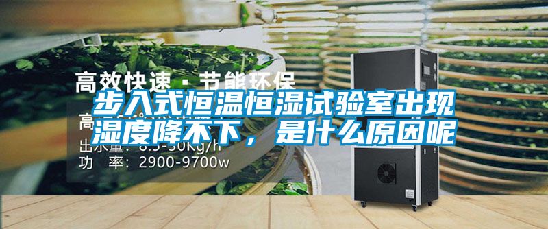 步入式恒溫恒濕試驗室出現濕度降不下，是什么原因呢