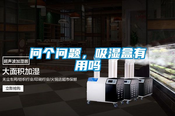 問個(gè)問題，吸濕盒有用嗎