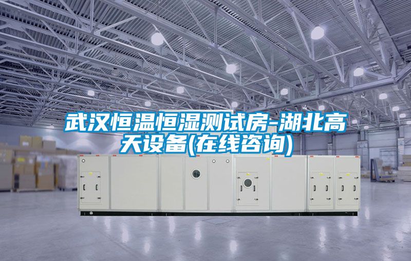 武漢恒溫恒濕測試房-湖北高天設備(在線咨詢)