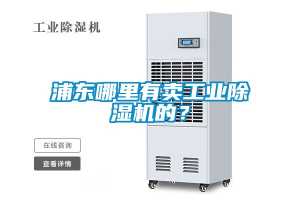 浦東哪里有賣工業(yè)除濕機(jī)的？