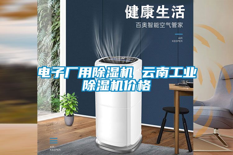 電子廠用除濕機 云南工業(yè)除濕機價格