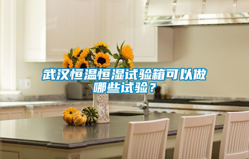 武漢恒溫恒濕試驗箱可以做哪些試驗？