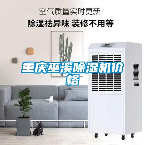 重慶巫溪除濕機價格