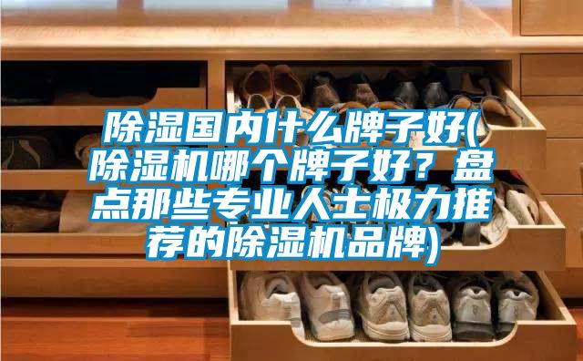 除濕國內什么牌子好(除濕機哪個牌子好？盤點那些專業(yè)人士極力推薦的除濕機品牌)