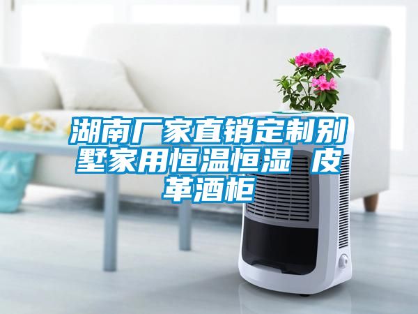 湖南廠家直銷(xiāo)定制別墅家用恒溫恒濕 皮革酒柜
