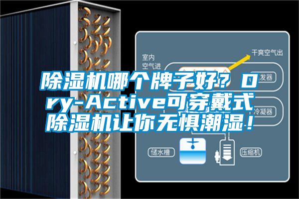 除濕機(jī)哪個牌子好？Dry-Active可穿戴式除濕機(jī)讓你無懼潮濕！