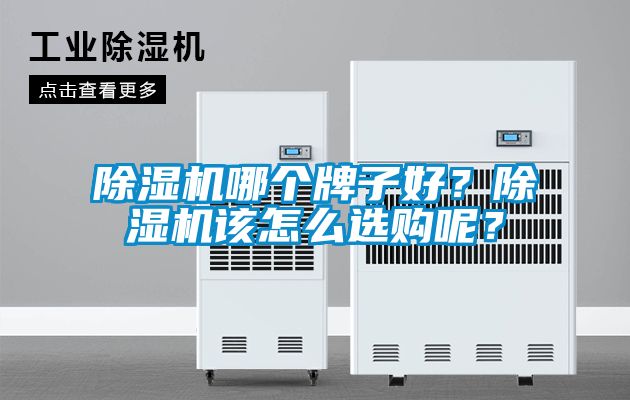 除濕機(jī)哪個(gè)牌子好？除濕機(jī)該怎么選購呢？