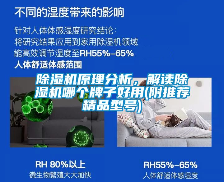 除濕機原理分析，解讀除濕機哪個牌子好用(附推薦精品型號)