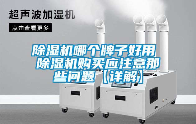 除濕機(jī)哪個牌子好用 除濕機(jī)購買應(yīng)注意那些問題【詳解】