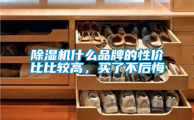 除濕機(jī)什么品牌的性價(jià)比比較高，買了不后悔
