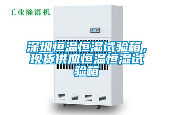 深圳恒溫恒濕試驗箱，現(xiàn)貨供應恒溫恒濕試驗箱