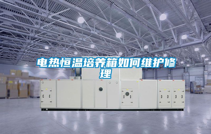 電熱恒溫培養(yǎng)箱如何維護修理